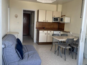 APPARTEMENT CENTRE VILLE T2 - 4 PERSONNES AVEC VUE SUR MER, GARAGE ET LOGGIA